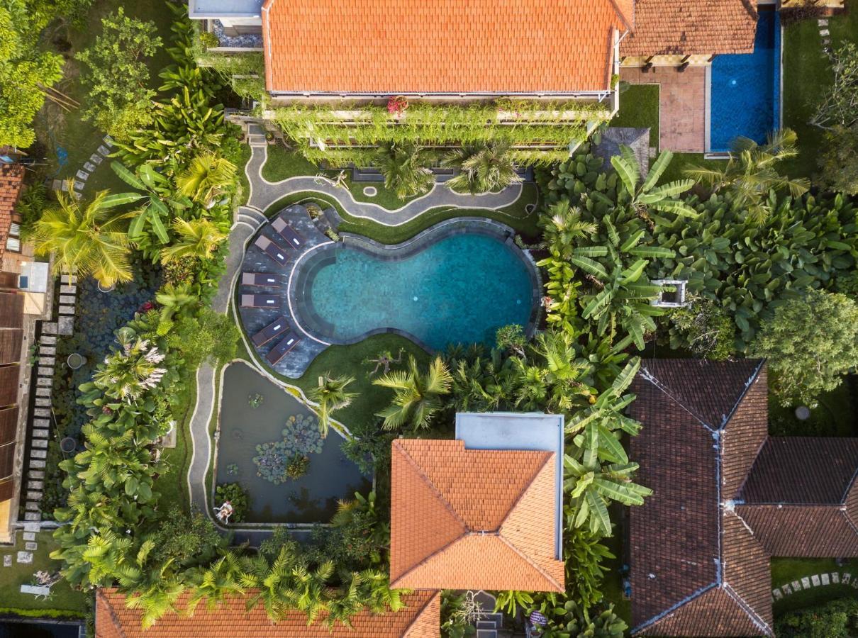 Hotel Hidden Padma Retreat Ubud Zewnętrze zdjęcie